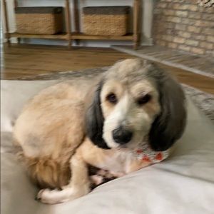 Meet your Posher, Mary